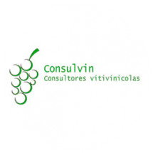 Consulvin-logo
